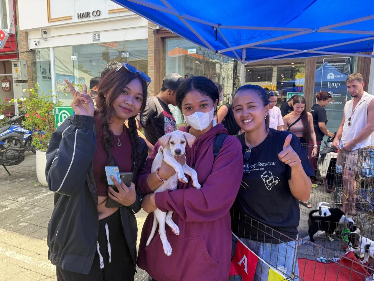 ★ Recently Adopted with their new family